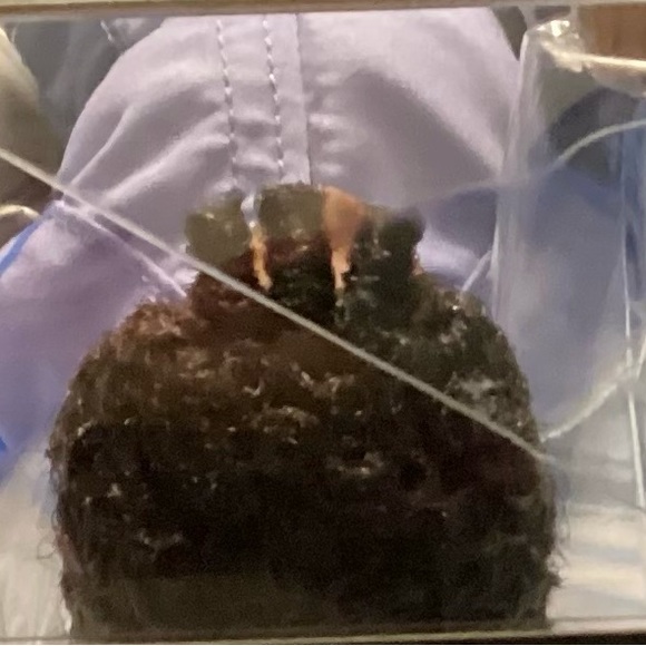 Marvel Black Panther Wakanda Forever Shuri Fashion Doll - Picture 7 of 7